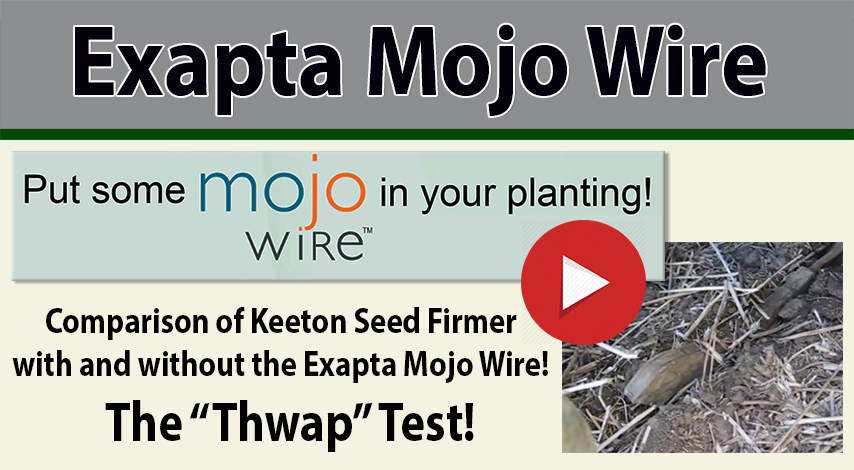 Exapta Mojo Wire Video
